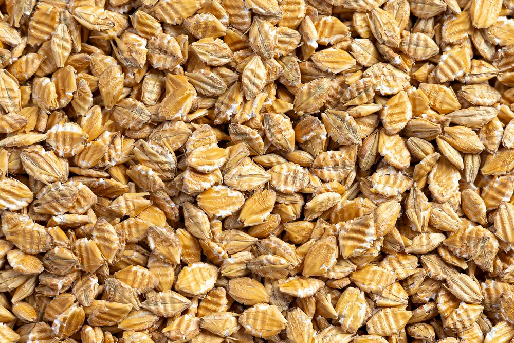 SCF Steam Flaked Barley