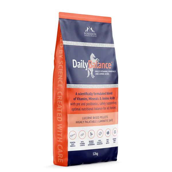DailyBalance