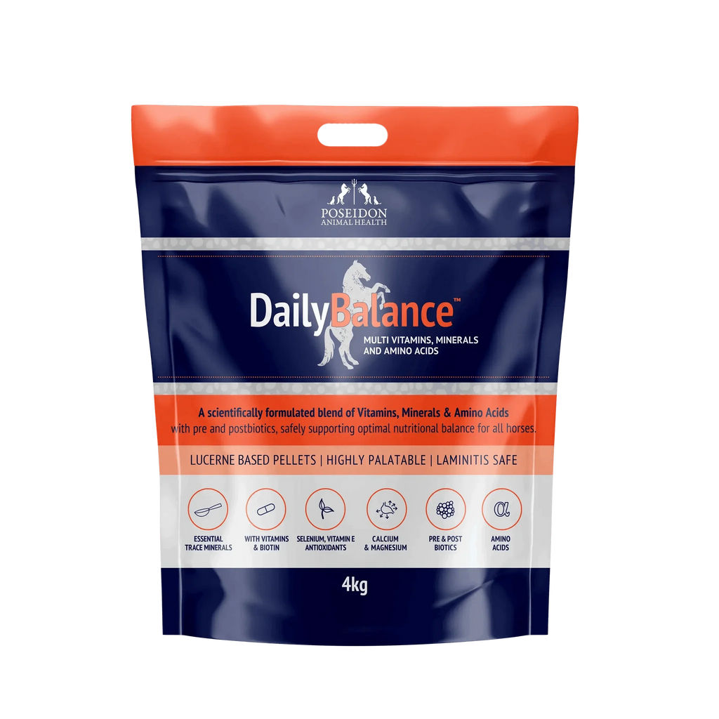 DailyBalance