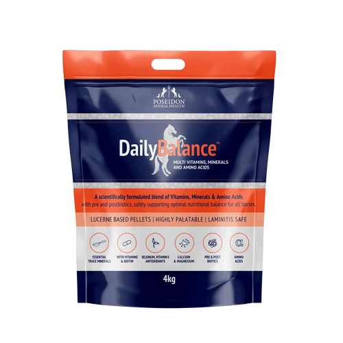 DailyBalance