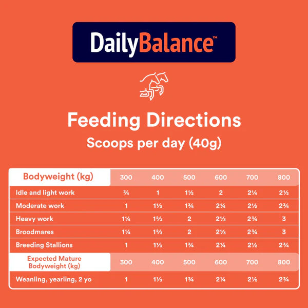 DailyBalance
