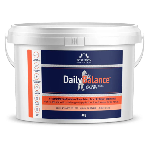 DailyBalance