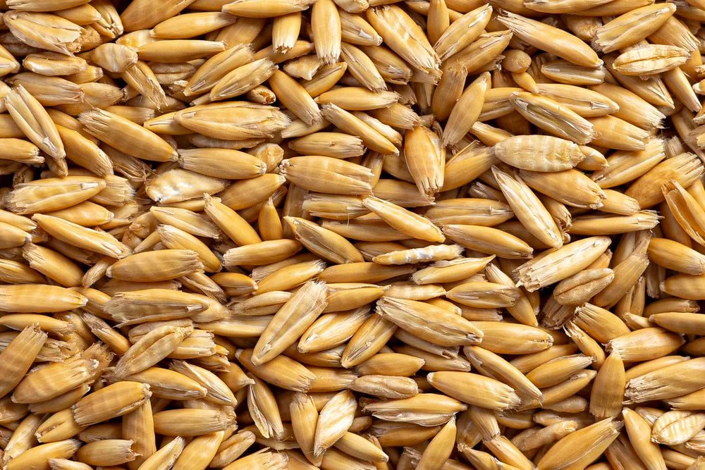 SCF Steam Flaked Oats
