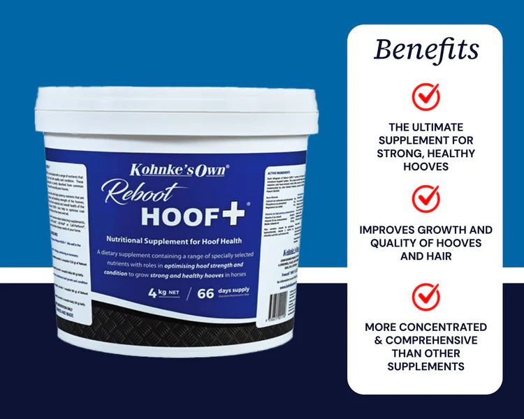 Reboot HOOF