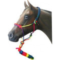 Rope Halter rainbow with Lead